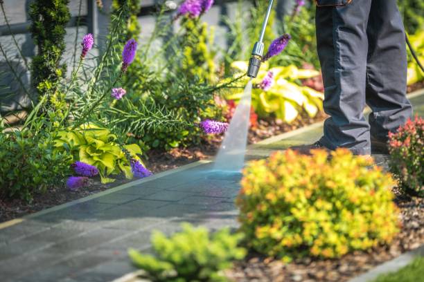 Best Parking Lot and Garage Cleaning  in Barstow, CA